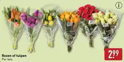 ALDI Rozen of Tulpen aanbieding