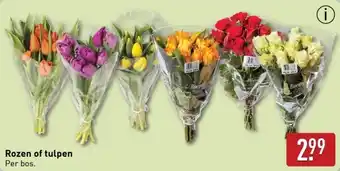 ALDI Rozen of Tulpen aanbieding