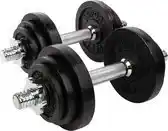 Bol.com RS Sports Dumbellset - Halterset met gewichten - Totaal 20 kg - 2 stangen - zwart aanbieding