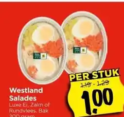 Vomar Voordeelmarkt Westland Salades aanbieding