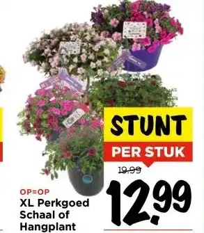 Vomar Voordeelmarkt XL Perkgoed Schaal of Hangplant aanbieding