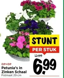 Vomar Voordeelmarkt Petunia's in Zinken Schaal aanbieding
