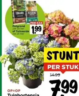 Vomar Voordeelmarkt Tuinhortensia aanbieding
