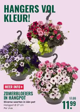 GroenRijk Zomerbloeiers in hangpot aanbieding