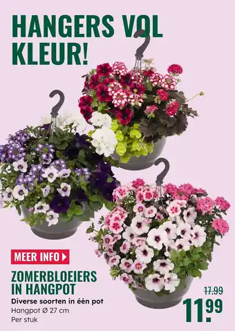 GroenRijk Zomerbloeiers in hangpot aanbieding