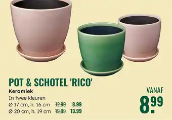 GroenRijk Pot & schotel Rico aanbieding