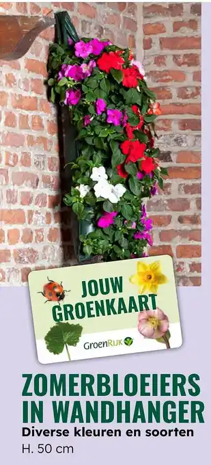 GroenRijk Zomerbloeiers in wandhanger aanbieding