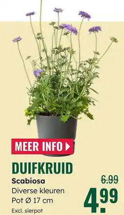 GroenRijk Duifkruid aanbieding