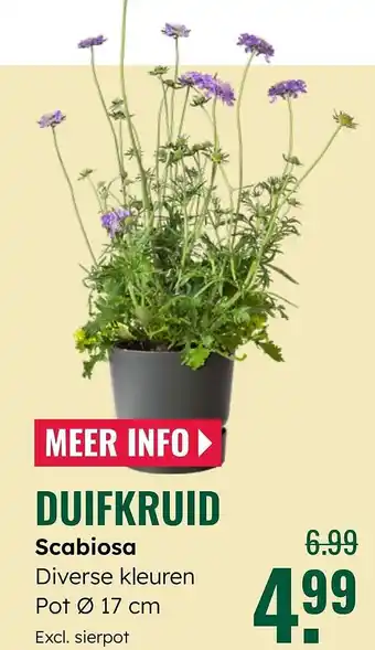 GroenRijk Duifkruid aanbieding