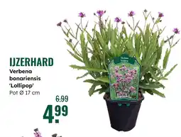 GroenRijk Ijzerhard aanbieding