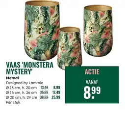 GroenRijk Vaas Monstera mystery aanbieding