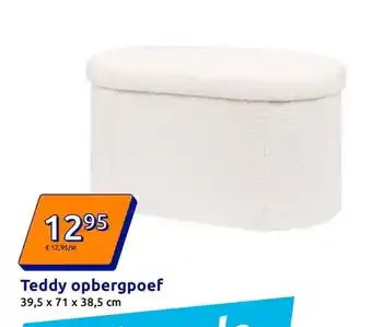 Action Teddy opbergpoef aanbieding