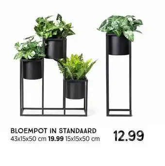 Xenos Bloempot In Standaard 43x15x50 Cm Of 15x15x50 Cm aanbieding