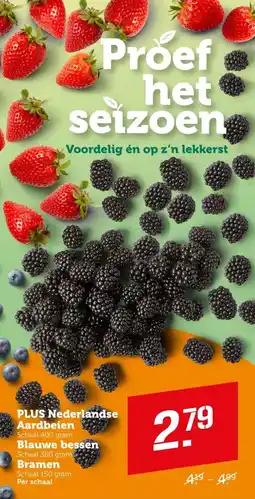 Coop Plus Nederlandse Aardbeien, Blauwe bessen en Bramen aanbieding