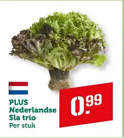 Coop Nederlandse Sla trio aanbieding