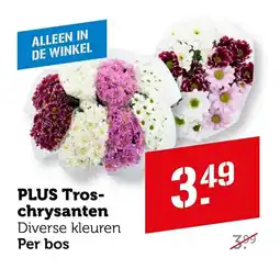 Coop Plus Troschrysanten aanbieding