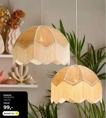 Lampidee Malacia aanbieding
