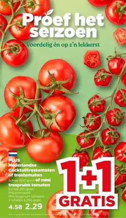 PLUS PLUS Nederlandse Cocktailtrostomaten of trostomaten of mini trospruim tomaten aanbieding