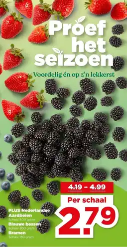 PLUS PLUS Nederlandse Aardbeien Blauwe bessen of Bramen aanbieding