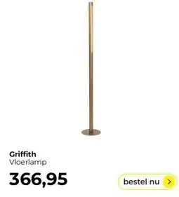 Lampidee Griffith aanbieding