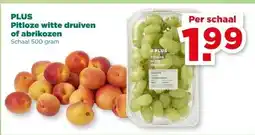 PLUS PLUS Pitloze witte druiven of abrikozen aanbieding