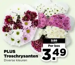 PLUS PLUS Troschrysanten aanbieding