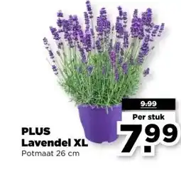 PLUS PLUS Lavendel XL aanbieding