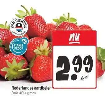 Jumbo Nederlandse aardbeien aanbieding