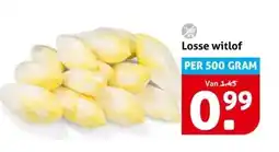 Hoogvliet Losse witlof aanbieding