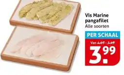 Hoogvliet Vis Marine pangafilet aanbieding