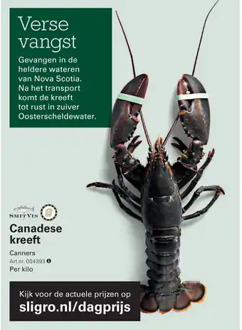 Sligro Canadese kreeft aanbieding
