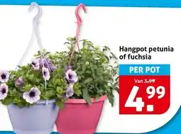 Hoogvliet Hangpot petunia of fuchsia aanbieding
