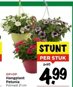 Vomar Voordeelmarkt Hangplant Petunia aanbieding
