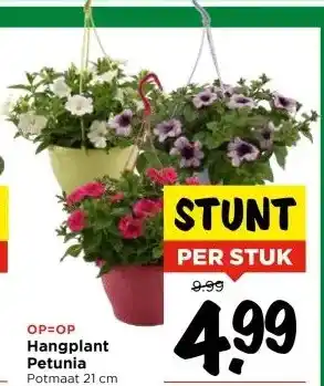 Vomar Voordeelmarkt Hangplant Petunia aanbieding