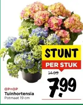 Vomar Voordeelmarkt Tuinhortensia aanbieding