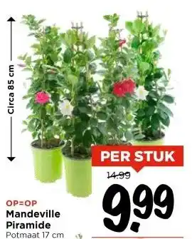 Vomar Voordeelmarkt Mandeville Piramide aanbieding