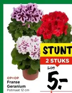 Vomar Voordeelmarkt Franse Geranium aanbieding