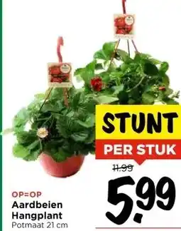 Vomar Voordeelmarkt Aardbeien Hangplant aanbieding