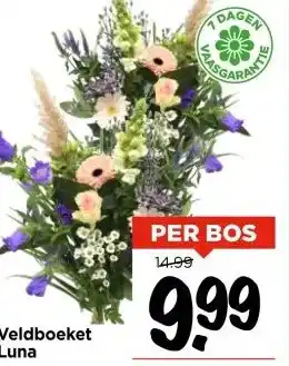 Vomar Voordeelmarkt Veldboeket Luna aanbieding
