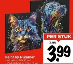 Vomar Voordeelmarkt Paint by Nummer aanbieding