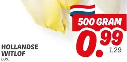 Dekamarkt HOLLANDSE WITLOF aanbieding