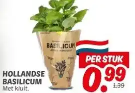 Dekamarkt HOLLANDSE BASILICUM aanbieding