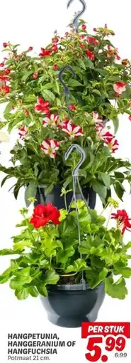 Dekamarkt HANGPETUNIA, HANGGERANIUM OF HANGFUCHSIA aanbieding