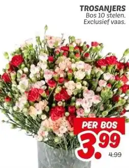 Dekamarkt TROSANJERS aanbieding
