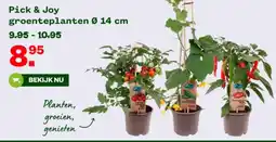 Welkoop Pick & Joy groenteplanten aanbieding