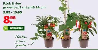 Welkoop Pick & Joy groenteplanten aanbieding