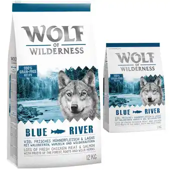 Zooplus 14 kg Wolf of Wilderness Hondenvoer, Blue River - Zalm aanbieding
