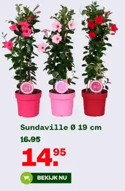 Welkoop Sundaville aanbieding