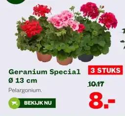 Welkoop Geranium Special aanbieding
