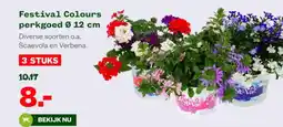 Welkoop Festival Colours perkgoed aanbieding